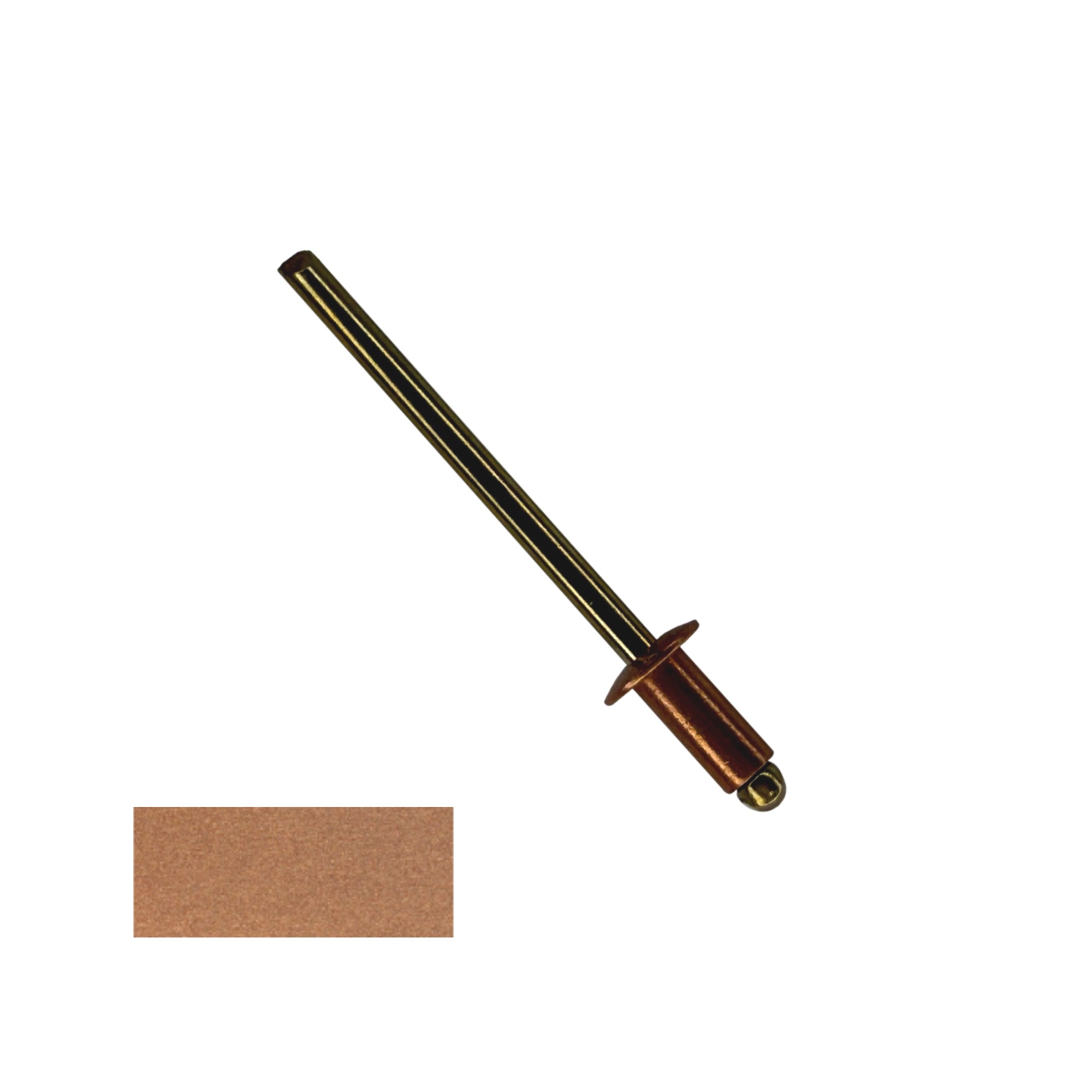 A number 42 Copper Pop Rivet with a 1/4 inch grip. There is a color swatch in the bottom left corner. The rivet is Copper in color.