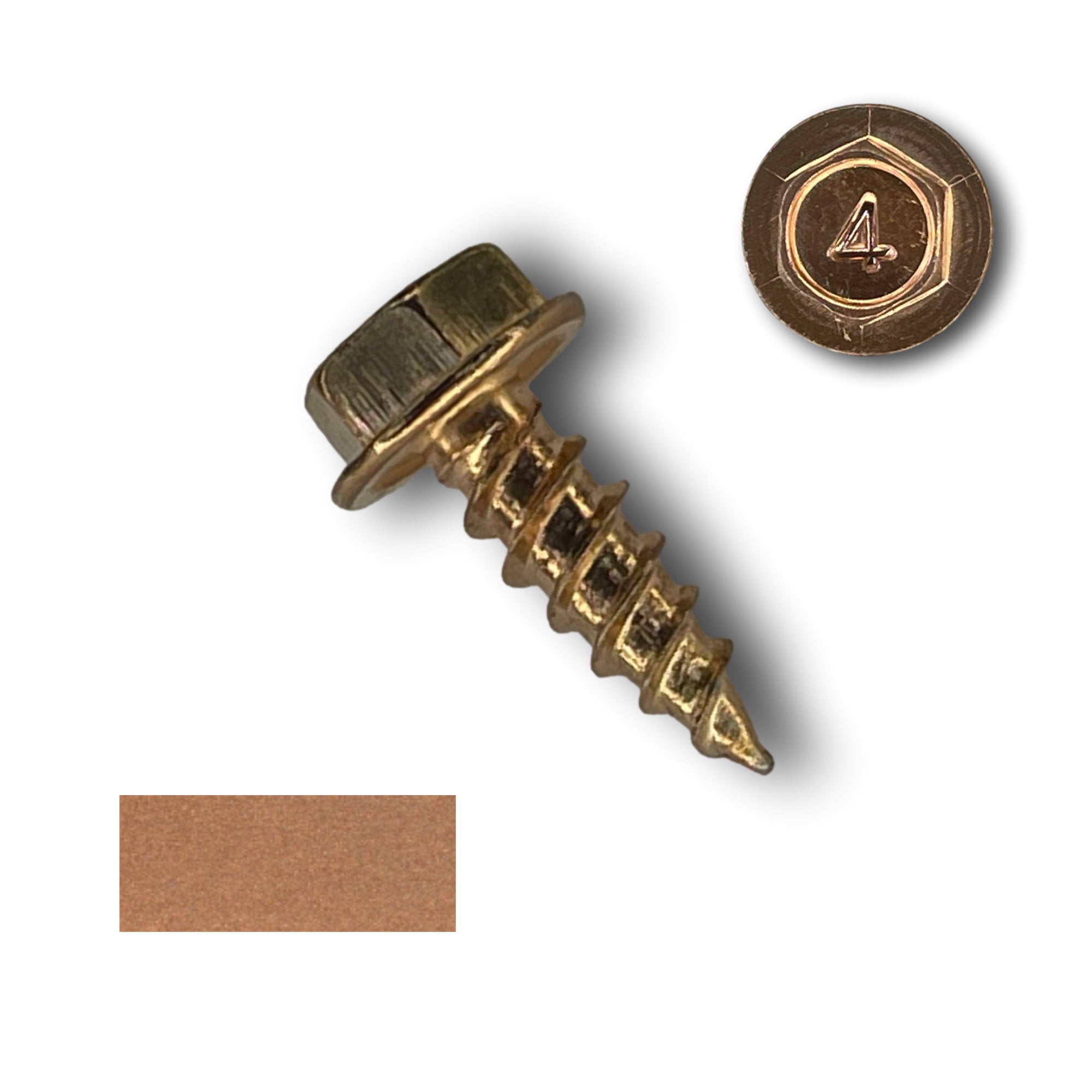 A number 8 diameter Copper Plated Sheet Metal Screw that is 1/2 inches long. There is a copper color swatch in the bottom left corner.