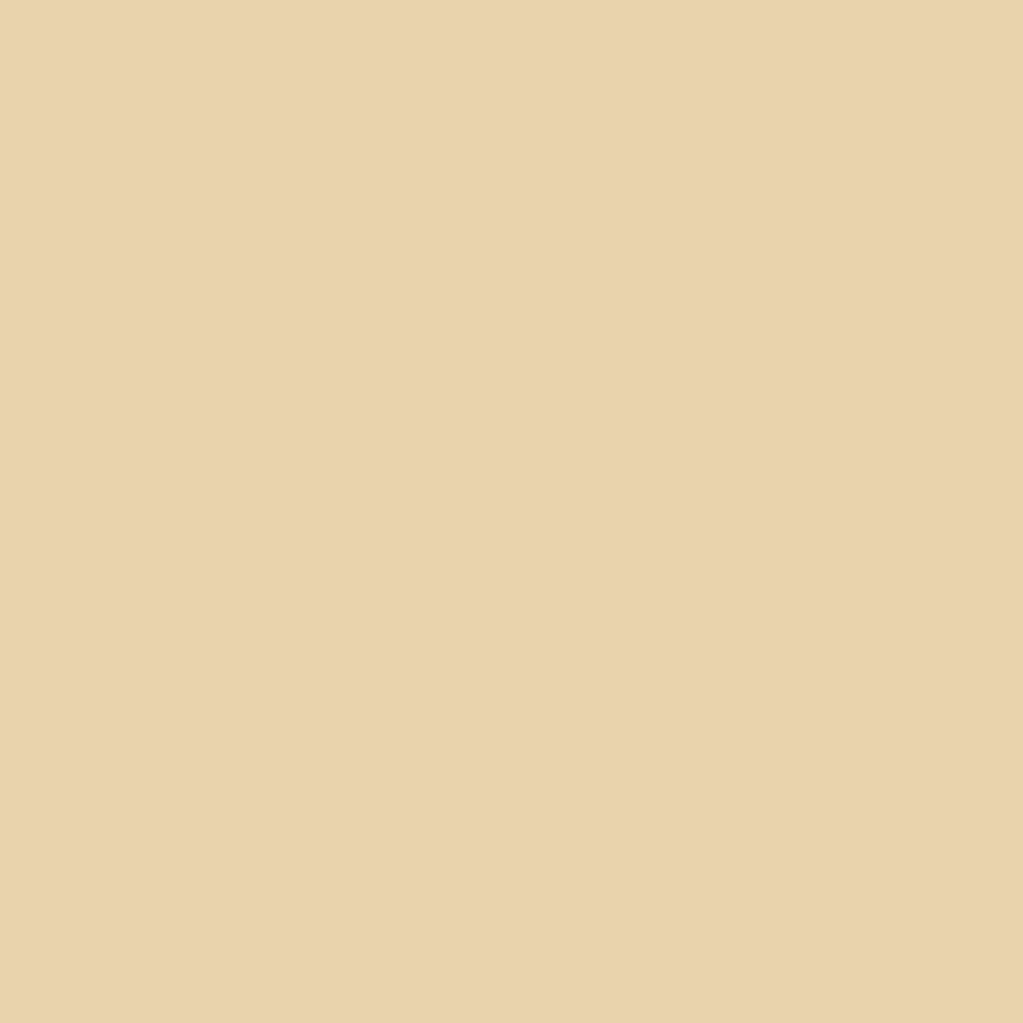 A close up of the texture of the Smooth Aluminum Trim Coil that is Ivory in color. 